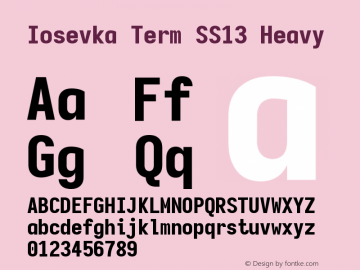 Iosevka Term SS13 Heavy Version 5.0.8图片样张