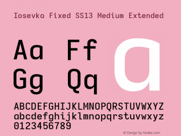 Iosevka Fixed SS13 Medium Extended Version 5.0.8 Font Sample