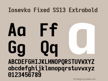 Iosevka Fixed SS13 Extrabold Version 5.0.8 Font Sample