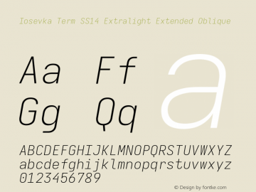 Iosevka Term SS14 Extralight Extended Oblique Version 5.0.8图片样张