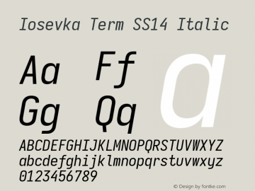 Iosevka Term SS14 Italic Version 5.0.8图片样张