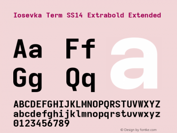 Iosevka Term SS14 Extrabold Extended Version 5.0.8图片样张