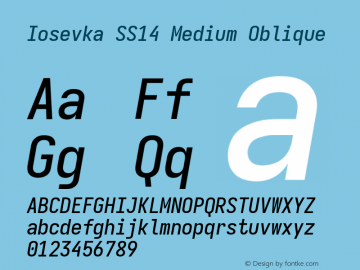 Iosevka SS14 Medium Oblique Version 5.0.8 Font Sample