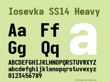 Iosevka SS14 Heavy Version 5.0.8 Font Sample