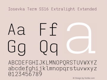 Iosevka Term SS16 Extralight Extended Version 5.0.8图片样张