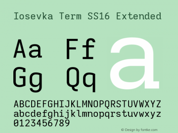 Iosevka Term SS16 Extended Version 5.0.8图片样张