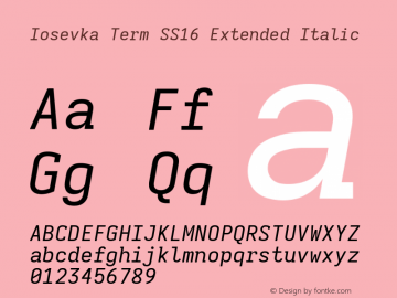 Iosevka Term SS16 Extended Italic Version 5.0.8图片样张
