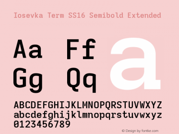 Iosevka Term SS16 Semibold Extended Version 5.0.8图片样张