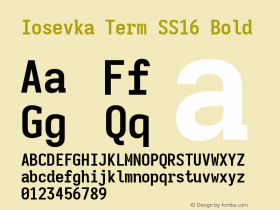 Iosevka Term SS16 Bold Version 5.0.8 Font Sample