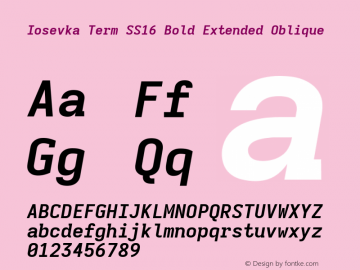 Iosevka Term SS16 Bold Extended Oblique Version 5.0.8图片样张