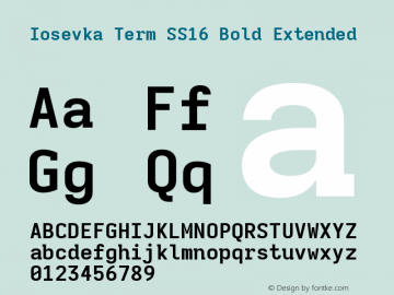 Iosevka Term SS16 Bold Extended Version 5.0.8图片样张