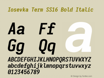 Iosevka Term SS16 Bold Italic Version 5.0.8图片样张