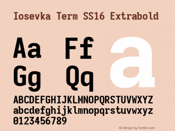 Iosevka Term SS16 Extrabold Version 5.0.8图片样张