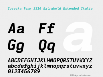 Iosevka Term SS16 Extrabold Extended Italic Version 5.0.8图片样张