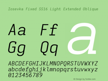 Iosevka Fixed SS16 Light Extended Oblique Version 5.0.8图片样张