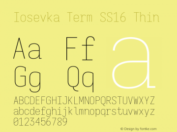 Iosevka Term SS16 Thin Version 5.0.8图片样张