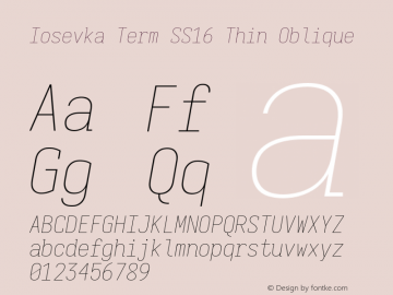 Iosevka Term SS16 Thin Oblique Version 5.0.8图片样张
