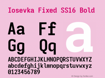 Iosevka Fixed SS16 Bold Version 5.0.8图片样张