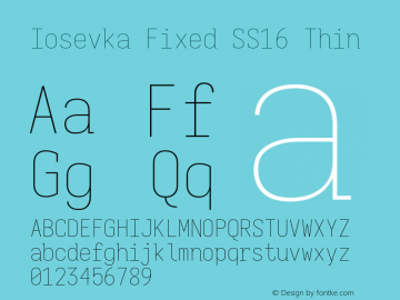 Iosevka Fixed SS16 Thin Version 5.0.8图片样张
