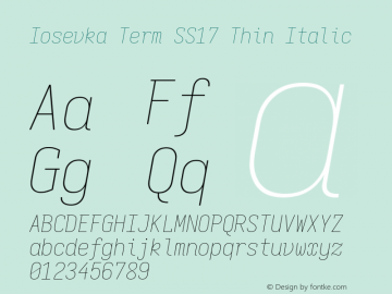 Iosevka Term SS17 Thin Italic Version 5.0.8 Font Sample