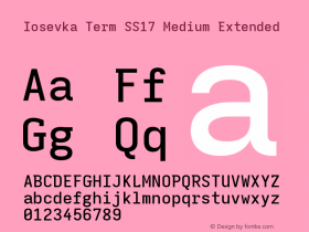 Iosevka Term SS17 Medium Extended Version 5.0.8 Font Sample