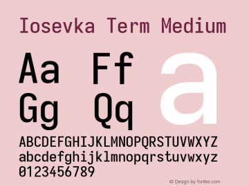 Iosevka Term Medium Version 5.0.8; ttfautohint (v1.8.3)图片样张