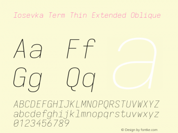 Iosevka Term Thin Extended Oblique Version 5.0.8; ttfautohint (v1.8.3)图片样张