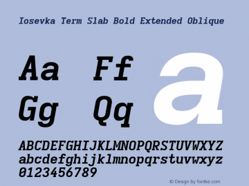 Iosevka Term Slab Bold Extended Oblique Version 5.0.8; ttfautohint (v1.8.3)图片样张