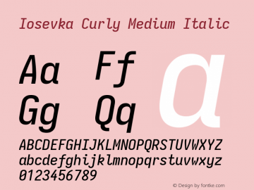 Iosevka Curly Medium Italic Version 5.0.8; ttfautohint (v1.8.3)图片样张