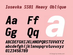 Iosevka SS01 Heavy Oblique Version 5.0.8; ttfautohint (v1.8.3) Font Sample