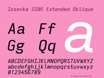 Iosevka SS05 Extended Oblique Version 5.0.8; ttfautohint (v1.8.3)图片样张