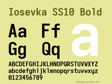 Iosevka SS10 Bold Version 5.0.8; ttfautohint (v1.8.3)图片样张