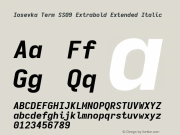 Iosevka Term SS09 Extrabold Extended Italic Version 5.0.8; ttfautohint (v1.8.3) Font Sample