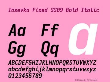 Iosevka Fixed SS09 Bold Italic Version 5.0.8; ttfautohint (v1.8.3)图片样张