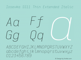 Iosevka SS11 Thin Extended Italic Version 5.0.8; ttfautohint (v1.8.3)图片样张