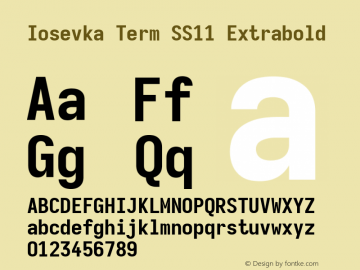 Iosevka Term SS11 Extrabold Version 5.0.8; ttfautohint (v1.8.3) Font Sample