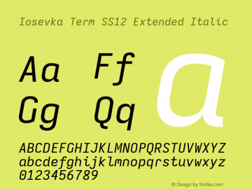 Iosevka Term SS12 Extended Italic Version 5.0.8; ttfautohint (v1.8.3) Font Sample