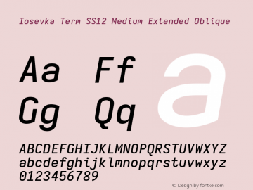 Iosevka Term SS12 Medium Extended Oblique Version 5.0.8; ttfautohint (v1.8.3) Font Sample