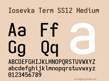 Iosevka Term SS12 Medium Version 5.0.8; ttfautohint (v1.8.3) Font Sample