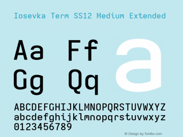 Iosevka Term SS12 Medium Extended Version 5.0.8; ttfautohint (v1.8.3) Font Sample