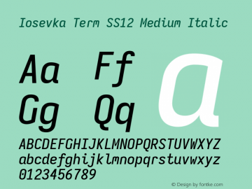 Iosevka Term SS12 Medium Italic Version 5.0.8; ttfautohint (v1.8.3) Font Sample
