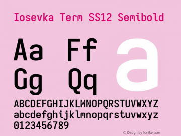 Iosevka Term SS12 Semibold Version 5.0.8; ttfautohint (v1.8.3) Font Sample