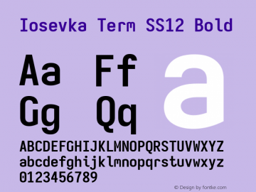 Iosevka Term SS12 Bold Version 5.0.8; ttfautohint (v1.8.3) Font Sample