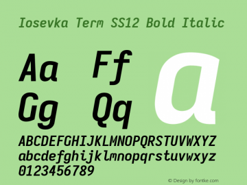 Iosevka Term SS12 Bold Italic Version 5.0.8; ttfautohint (v1.8.3) Font Sample