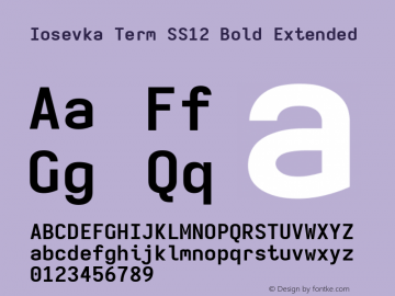 Iosevka Term SS12 Bold Extended Version 5.0.8; ttfautohint (v1.8.3) Font Sample