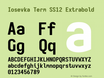Iosevka Term SS12 Extrabold Version 5.0.8; ttfautohint (v1.8.3) Font Sample