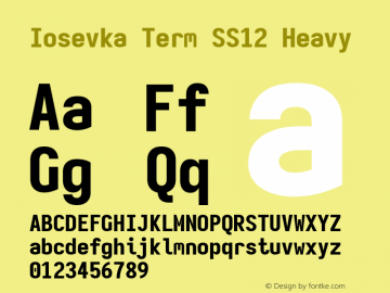 Iosevka Term SS12 Heavy Version 5.0.8; ttfautohint (v1.8.3) Font Sample