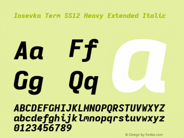 Iosevka Term SS12 Heavy Extended Italic Version 5.0.8; ttfautohint (v1.8.3) Font Sample