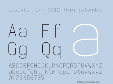 Iosevka Term SS12 Thin Extended Version 5.0.8; ttfautohint (v1.8.3) Font Sample
