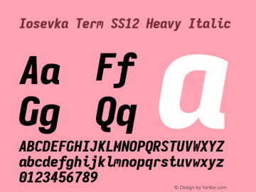 Iosevka Term SS12 Heavy Italic Version 5.0.8; ttfautohint (v1.8.3) Font Sample
